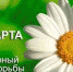 24 марта всемирный день борьбы с туберкулезом - Ржевская ЦРБ