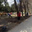 Городской субботник - Администрация г. Ржева
