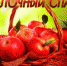 Муниципальное учреждение культуры  «Ржевская централизованная библиотечная система»  (МУК «Ржевская ЦБС»)  19.08.2020 - Администрация г. Ржева