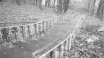 НОВАЯ ЛЕСТНИЦА - Ржевские новости