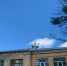 В Тверской области 16 геодезических пунктов размещены на крышах зданий - Ржевский муниципальный округ